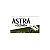 Astra Platinum Double Edged Razor Blades