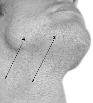 Shave like James Bond (007) – Top tips for the perfect cut throat shave straight razor demo2 Shave like James Bond (007) – Top tips for the perfect cut throat shave