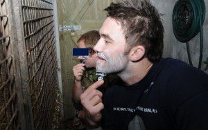 YLG 6418 tn 300x188 Soldiers face ripped off by Lion after shaving stunt goes wrong